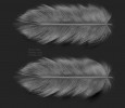  feather for wings - wip