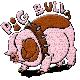 Pig Bull