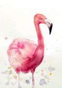 Flamingó kihívás