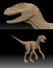 Velociraptor Zbrush VI