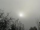 Sejtelmes őszi köd